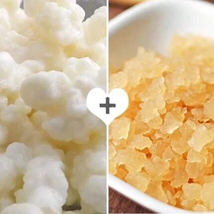 Pack 20g Hongo de Kéfir de Leche + 100g Hongo de Kéfir de Frutas