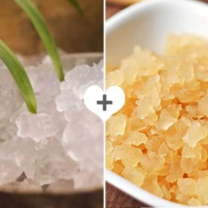 Pack 100g Hongo de Kéfir de Agua + 100g Hongo de Kéfir de Frutas
