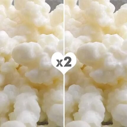 Pack x2 de Hongo / Nódulos de Kéfir de Leche